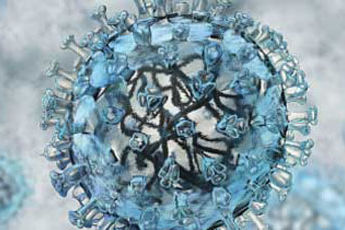Teadlane selgitab, kuidas tõsta organismi vastupanuvõimet viirustele
