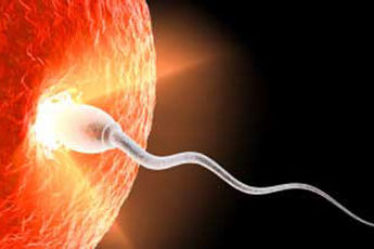Teadlased töötavad välja testi „parima“ sperma leidmiseks