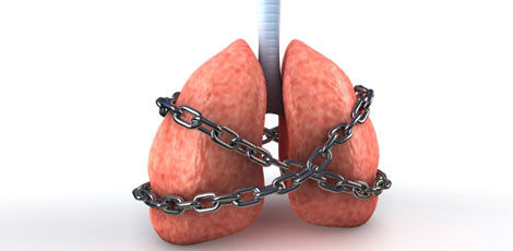 Hiirtel avastati astmalaadsete nähtude võimalik põhjus
