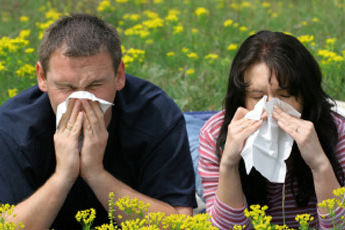 Õietolmuseire puudumine jätab allergikud teadmatusse