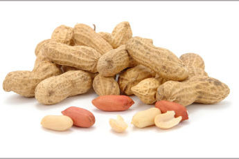 Allergiavaba maapähkli aretamise lootus suureneb