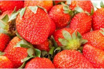 Suure fruktoosisisaldusega menüü võib põhjustada kõrget vererõhku Suure fruktoosisisaldusega menüü võib põhjustada kõrget vererõhku