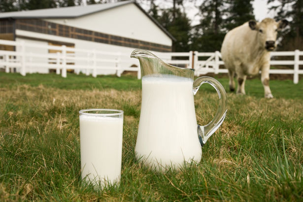 Laktoositalumatus ei tähenda piimast loobumist
