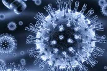 Viirused aitasid geneetilist varieeruvust kujundada