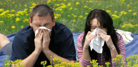Õietolmuseire puudumine jätab allergikud teadmatusse
